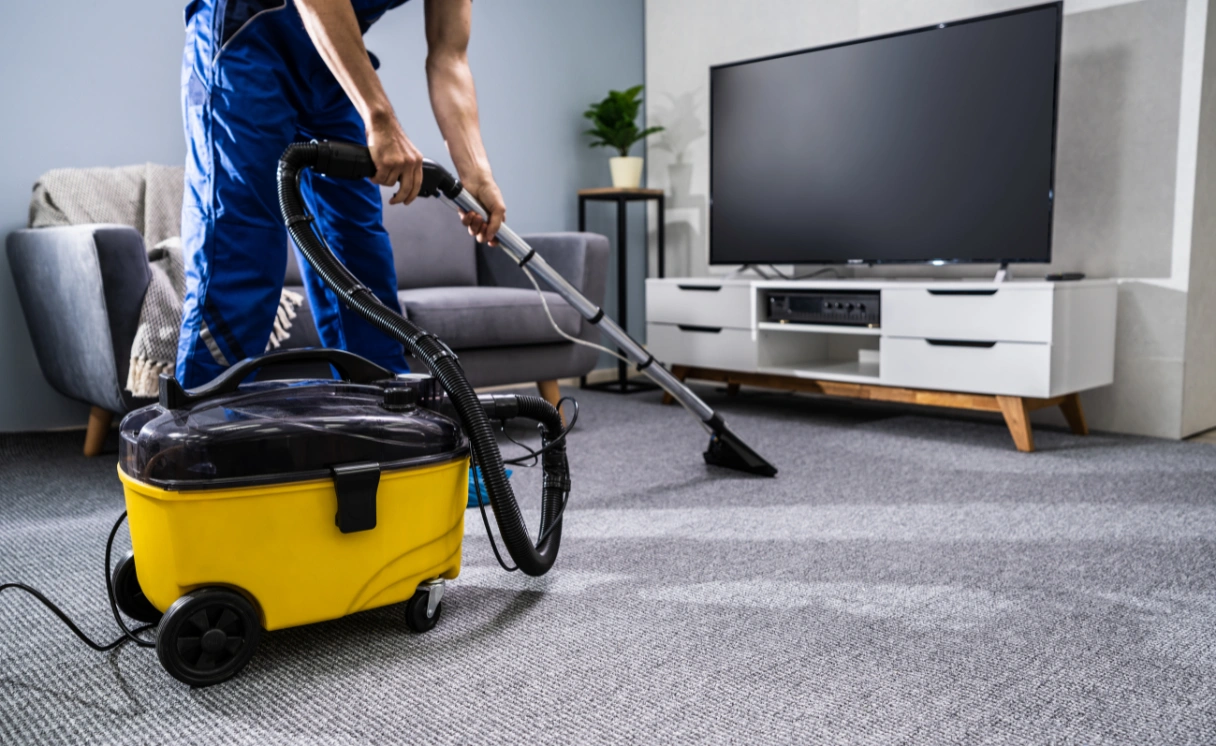 Extract Carpet Cleaning Rye Contact Office